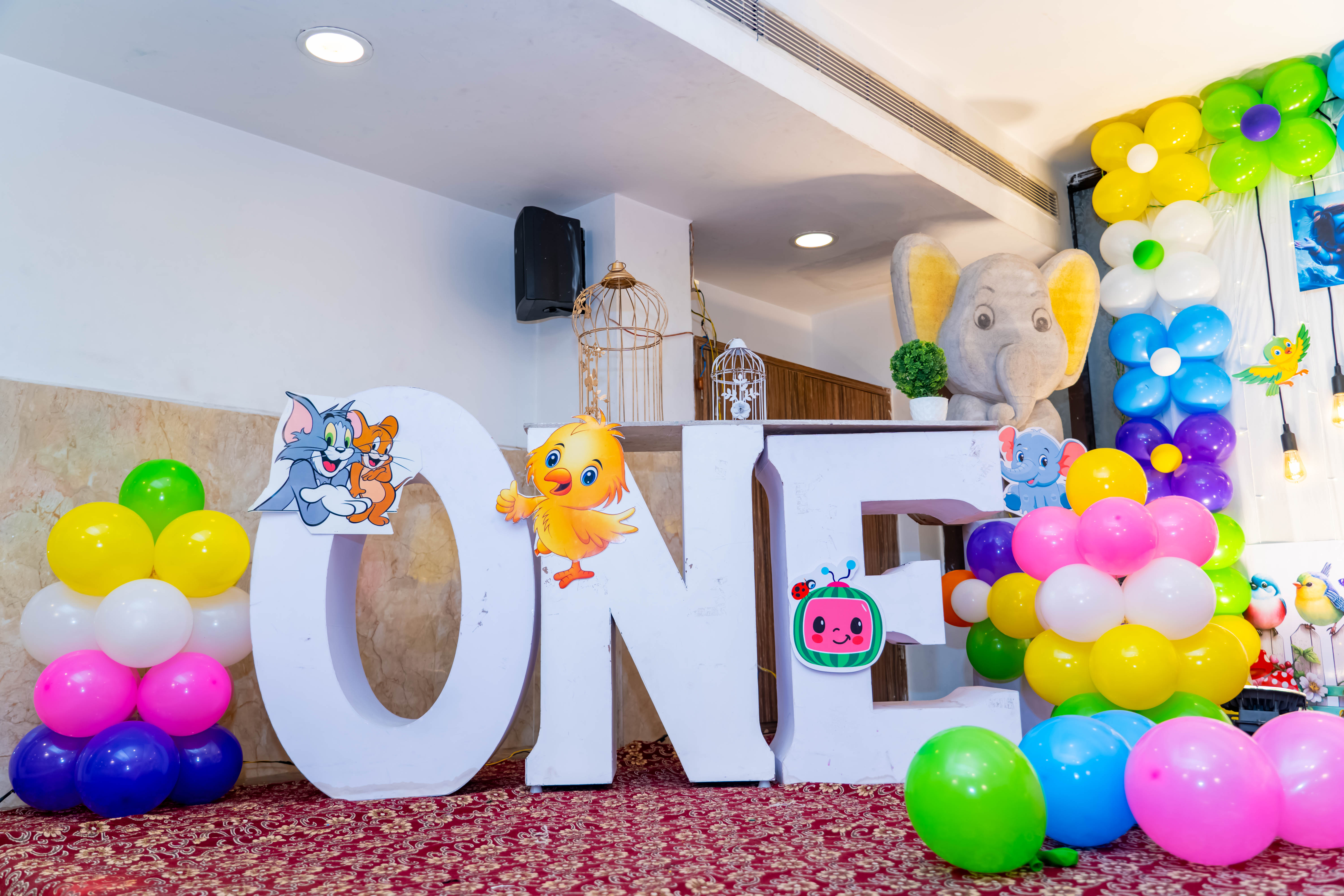 Aryan - Pre Birthday