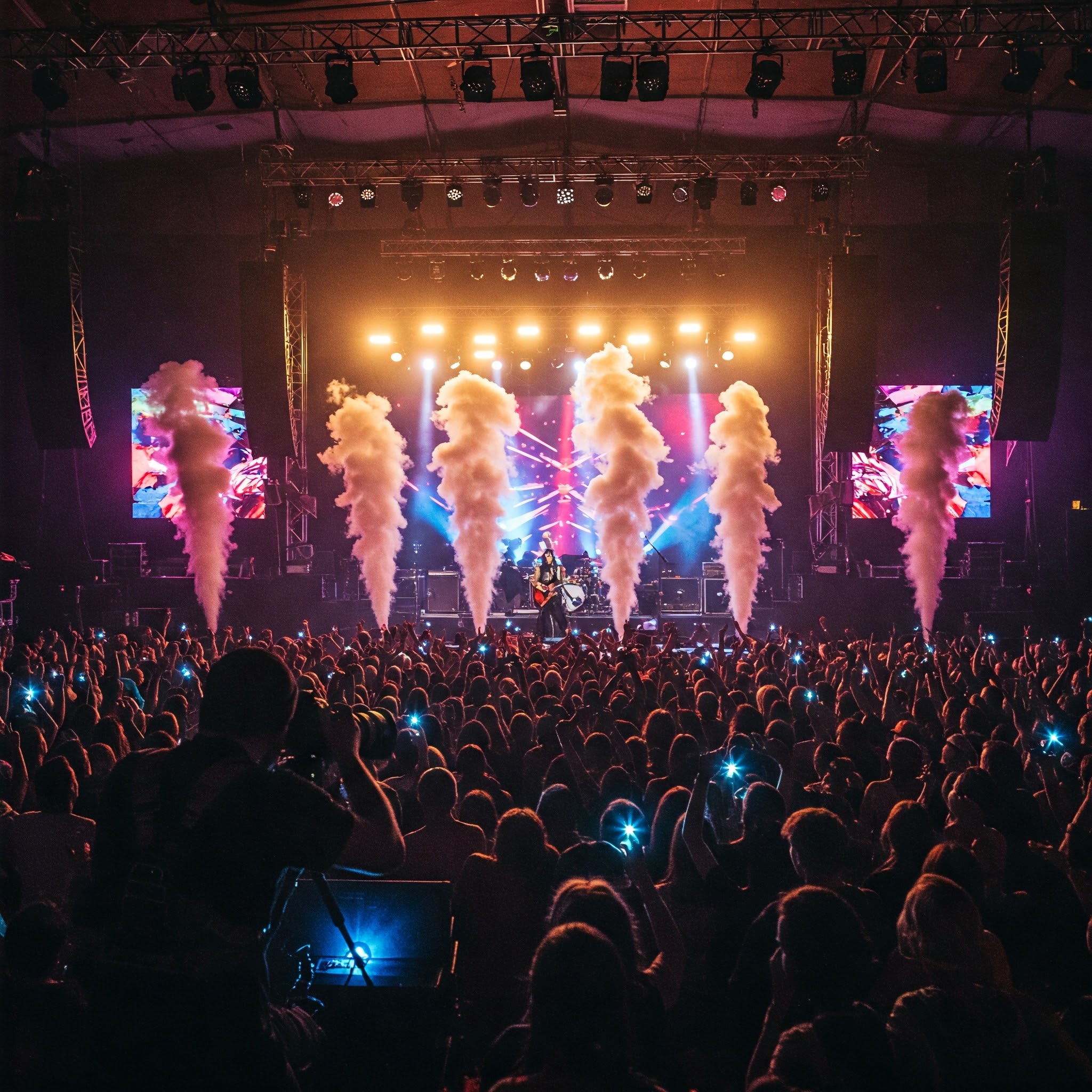 Concert & Festival