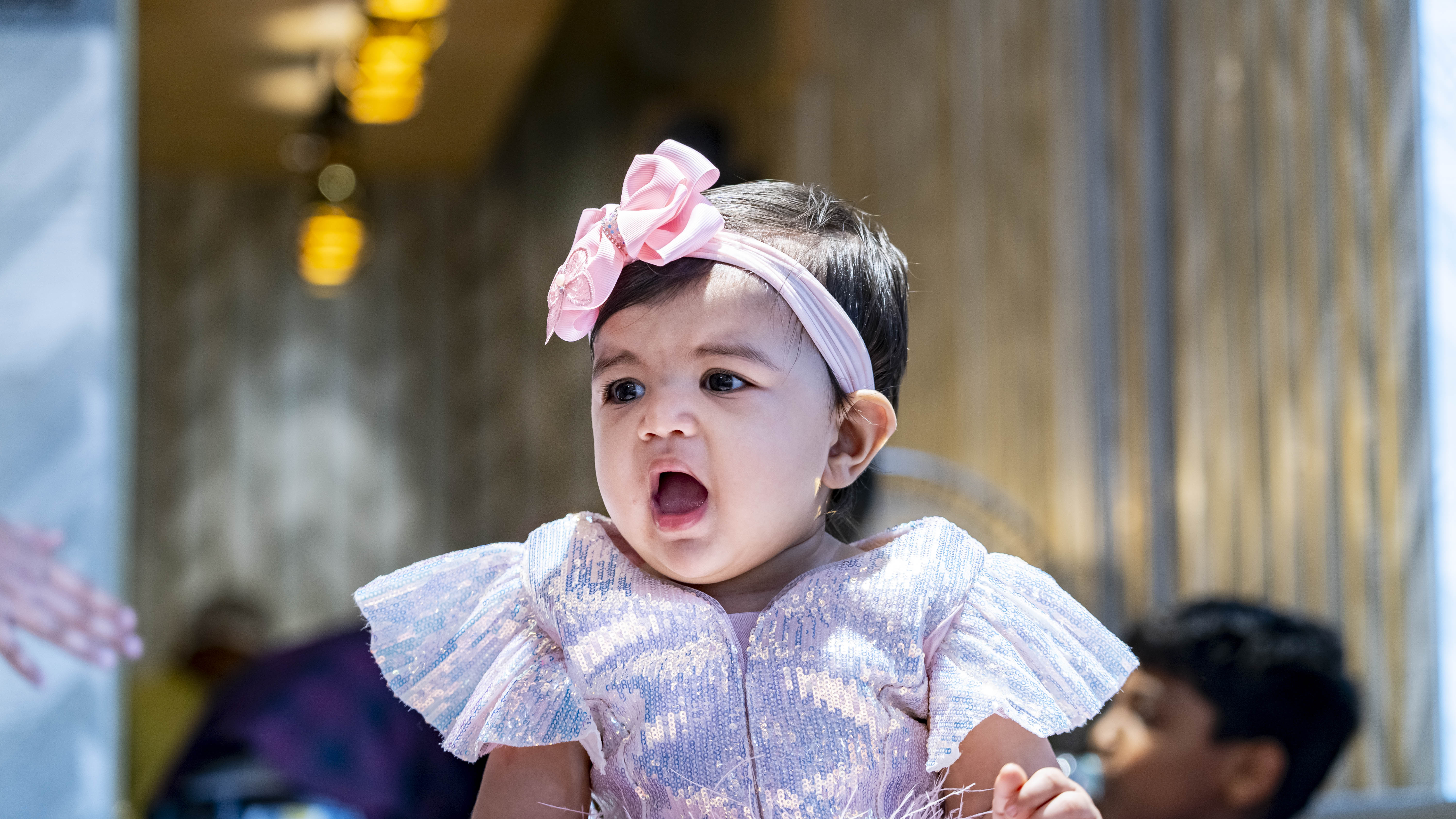 Vidhi